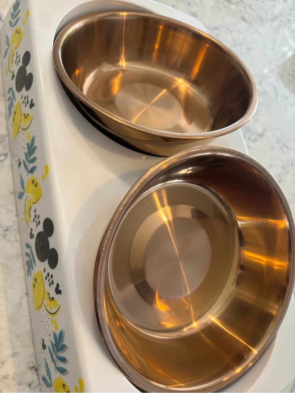 Disney Chewy Mickey Mouse Lemon Double Dog Cat Feeding Good Bowl Melamine